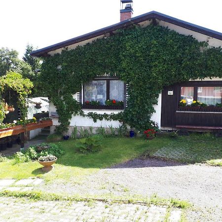 Ferienwohnung Kupfer Schmiedefeld am Rennsteig Eksteriør billede