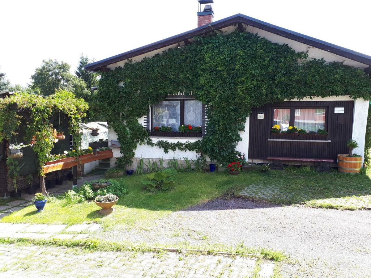 Ferienwohnung Kupfer Schmiedefeld am Rennsteig Eksteriør billede